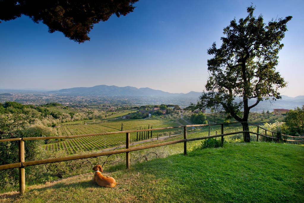 Villa Lean Valgiano Екстер'єр фото